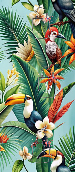 Perroquet toucan