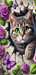 Chat papillon violet