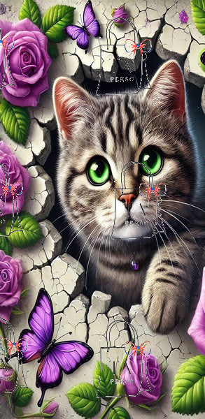 Chat papillon violet